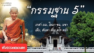 คำสอนหลวงตา : กรรมฐาน5 #ธรรมะ #หลวงตามหาบัว