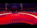 premiere weihnachtszirkus schweinfurt 2024 circus europa hubert fella hubertfella hunde show