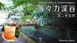 等々力渓谷/二子玉川｜東京で自然を楽しむ日帰り旅。渓谷〜ビアガーデンを満喫する休日