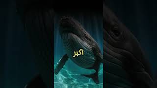 هل تعلم؟# معلومات #اكسبلور#تيكتوك#ترند#explore#viralvideo #shortvideo