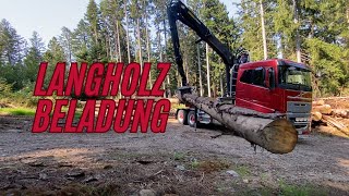 Ungeschnitten | 21 Meter lange Bäume laden mit Volvo FH16 | Langholztransport