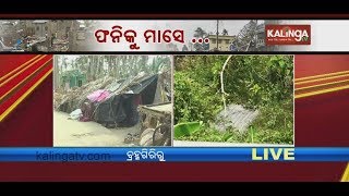 Puri after 1 month of cyclone : Victims' reaction : Report from Bramhagiri |Kalinga TV