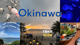 沖縄旅行vlog【レンタカーで沖縄観光！】