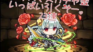 #48 パズドラ　クリスマスガチャ23連