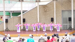 [4K] なにわ舞人 2回目　いずみよさこい祭り 2023