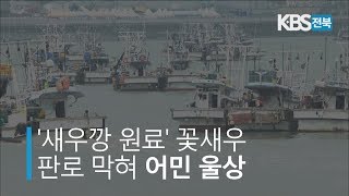 '새우깡 원료' 군산 꽃새우 판로 막혀.. 어민 울상 2019.07.25(목)