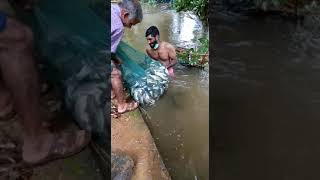 (thottile meen pidutham)🐟🐟 fishing in kerala