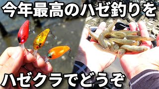 【ハゼ釣り】今年は当り年！ハゼクラでも釣れてます。　梅雨明け7月の江戸川放水路、夏のハゼ釣り絶好調スタート！