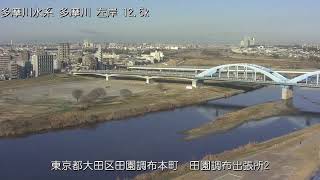 多摩川 多摩川水系 東京都大田区 田園調布出張所・丸子橋 ライブカメラ (2024/01/10) 定点観測 Tamagawa River Live Camera