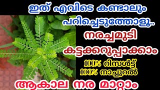 ഒറ്റയൂസിൽ തന്നെ നരച്ചമുടി കറുപ്പിക്കാം ഇതുമാത്രം മതി ഇതെവിടെ കണ്ടാലും വിടരുത് 100% #naturalhairdye