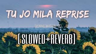 Tu Jo Mila Reprise [slowed+reverb] | Papon | Bajrangi Bhaijaan