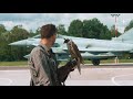 the falconer – how birds help nato’s air policing mission