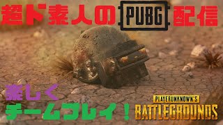 【概要欄必読】PUBG MOBILEを心から楽しむ配信【初心者大歓迎】