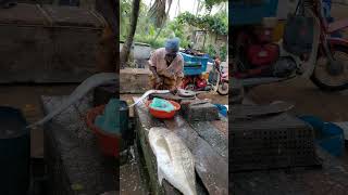 Amazing😱😱😱 oldest professional fish cutter #trending #viralvideo