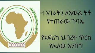 አራት ሀገራትን ለአውሬ ሰጥቶ የተጠራው የአፍሪካ ሀገራት ጉባኤ! መፈንቅለ መንግስት የአፍሪካ ከባድ ራስ ምታት!