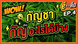 อีช่างคิด EP.4 กัญชา สามารถกัญ(กัน)อะไรได้บ้าง!