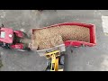 potato harvest in the czech republic