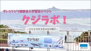 クジラの観察会＆学習会イベント「クジラボ！」