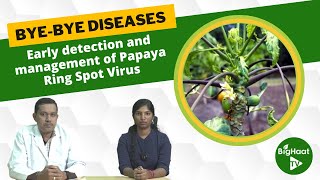 Early detection and management of Papaya Ring Spot Virus