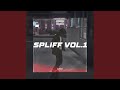 Spliff Vol.1