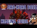 MASTERING Ara-Kara Boss Encounter Made EASY with This Healing Guide!