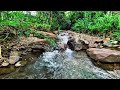 serene water flowing over rocks in a tranquil river to relax and soothe your soul river sounds