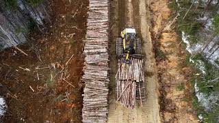 Chantier forestier à Escuminac ( Cruser ) en Gaspésie