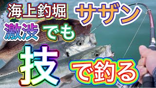 「海上釣堀サザン」激渋でも釣るテクニックを惜しまず公開します「釣座」半ツ抜け