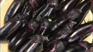 野菜中継　埼玉「ナス」Eggplant