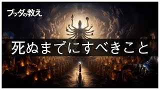 【ブッダの教え】死ぬまでにすべきこと〜人生の極意〜【本当の癒しとは】