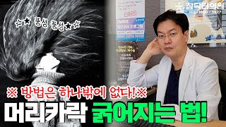 가늘어진 유전 탈모의 머리카락이 굵어지는 법은 없지만, 개수를 늘리는 방법은 있습니다! [참닥터의원]