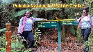 Pukaha Loop Track | Easy Track? | Pukaha National Wildlife Centre, Mt Bruce