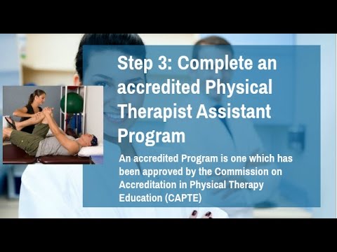 How To Become A Physical Therapist Assistant? PTA Requirements How To Become A Physical Therapist Assistant? PTA Requirements