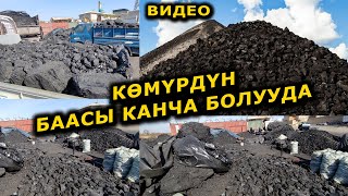 Көмүрдүн БААСЫ канча сомдон? ВИДЕОДОН КӨРҮҢҮЗ!