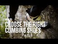 How to choose the right climbing shoes