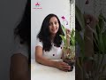 Unboxing Clickorchid plants.