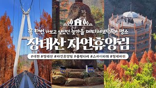 꼭 한번 가보고 싶었던 늦가을 메타세콰이어 명소, 장태산 자연휴양림, 대전 여행 (with CLOVA Dubbing)