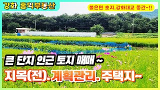 불은면 삼동암리 큰평수의 토지 매매 평당45만원