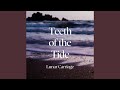 Teeth of the Tide