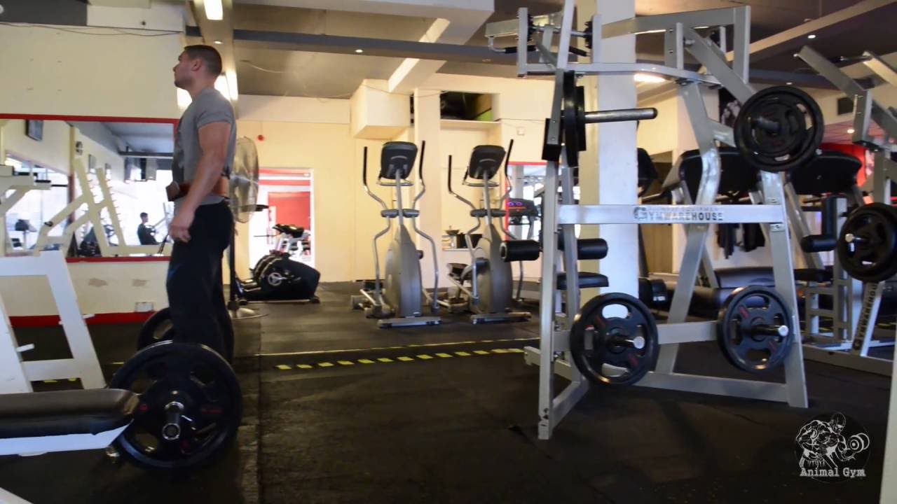 Animal Gym Uk Youtube