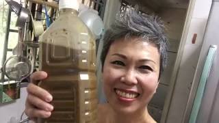 Crazy Asian Ferments #1 - Japanese Shoyu 'Soy Sauce' making by Connie Chew