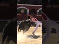 final campeonato de espaÑa · recortadores con toros · castellÓn 2023 recortes torosbravos españa