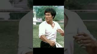 Bruce Lee kungfu fight