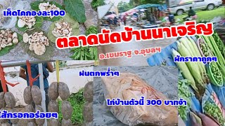 เดินตลาดนัดบ้านนาเจริญ  อำเภอเขมราฐ  จังหวัดอุบลราชธานี