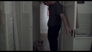 Beginners 2010 - Moving in with the dog Scene