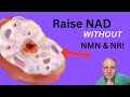 The Best Way To Boost NAD For Longevity!