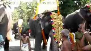 Thirunayathode Sivanarayana Temple -- Ulsavaghoshangal -- 2011