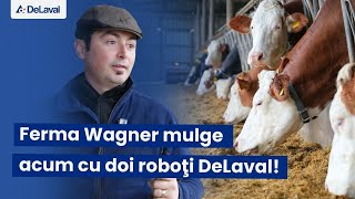 Ferma Wagner mulge acum cu doi roboţi DeLaval! #robotdemuls