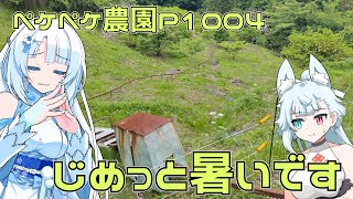 2024年5月23日　農作業日誌P1004　出稼ぎなのかそれとも違うのか？とりあえず除草剤をまいてみる