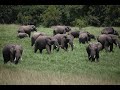 Kenya Big Five and African biodiversity expedition by Christiane Flechtner